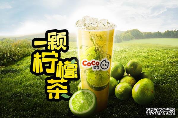 coco奶茶产品图4